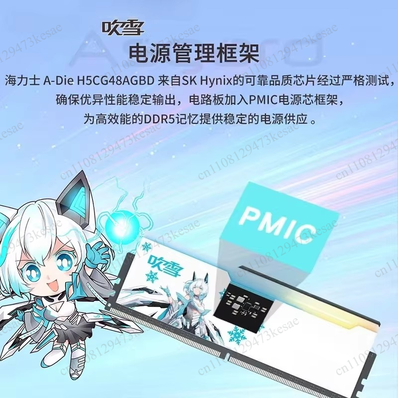 for Chuixue Co-Branded DDR5 DD - огляд і ціна Ddr5 64Gb